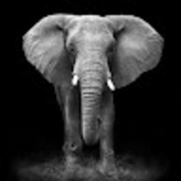 Meet your Posher, Mike - Picture 1 of 1